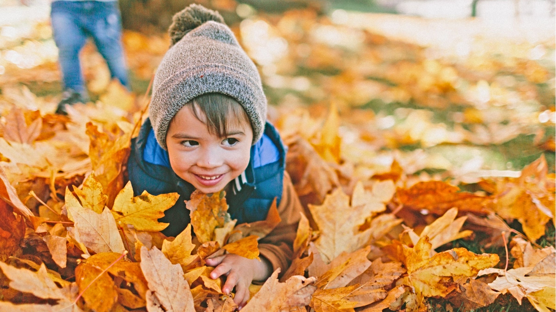 Melbourne-autumn-colours